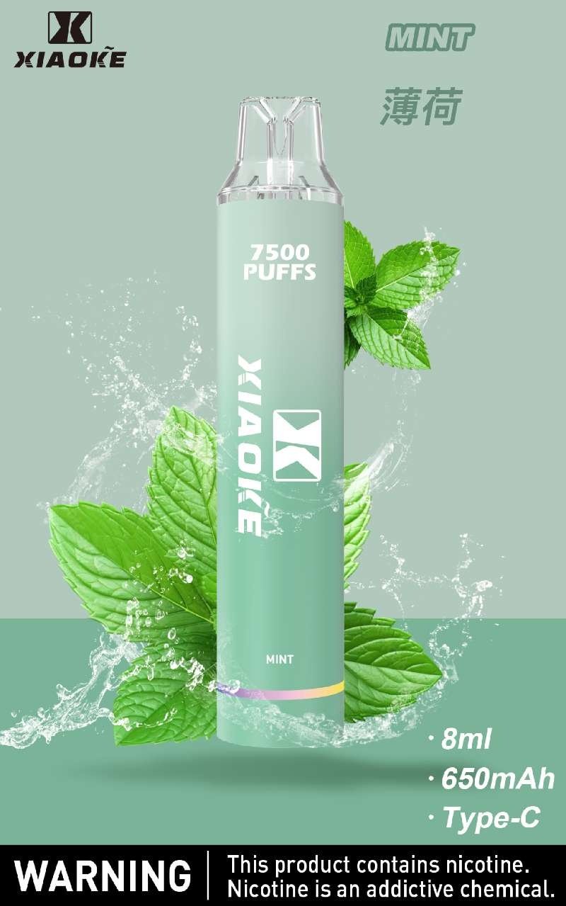 梟客 XIAOKE｜7500口 拋棄式