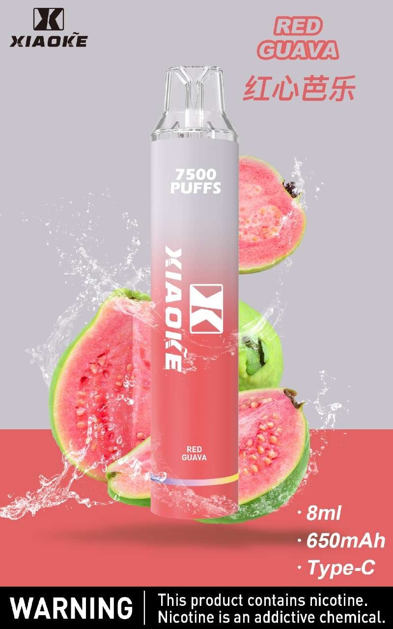 梟客 XIAOKE｜7500口 拋棄式